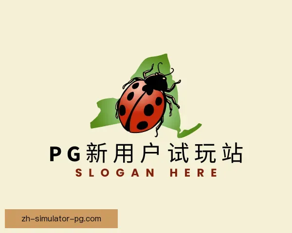 发现PG模拟器新用户